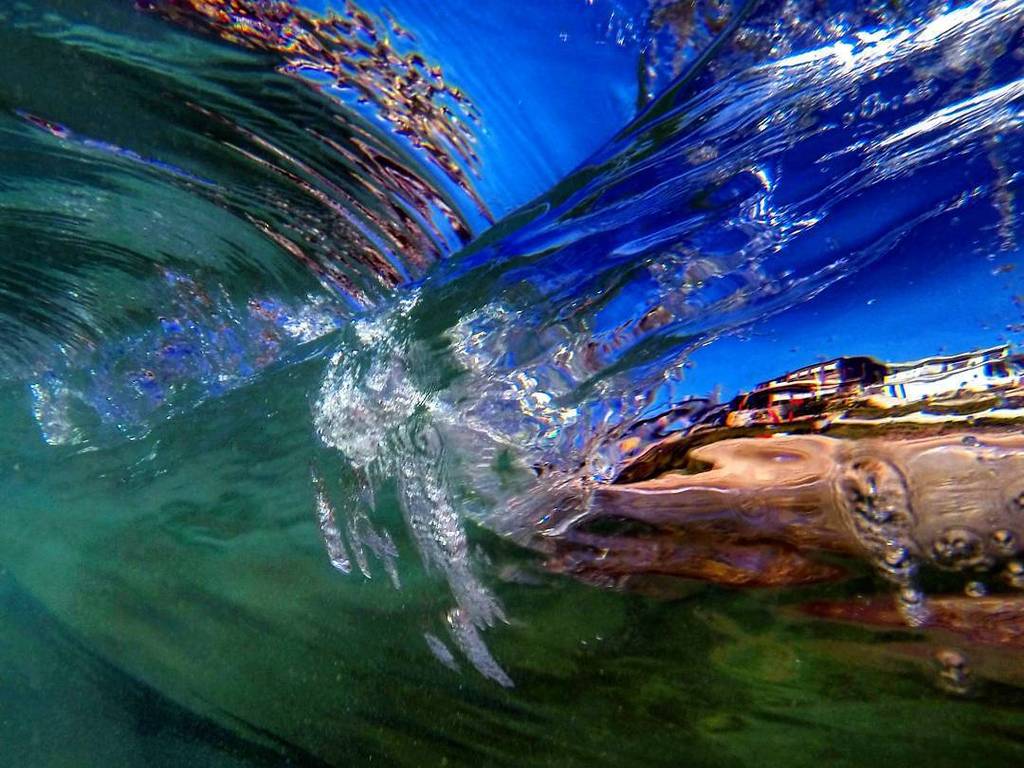 CaTurfPros's tweet photo. Happy Thanksgiving! ! Time to eat
#gopro #goprohero #gopro #gopro_epic #gopro_feature12 #waves #shorebreak #shootf… https://t.co/licRaq5wYK