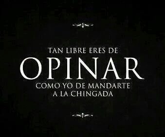 alexiadesanders's tweet photo. @RocioSAzuara @yacayaterik https://t.co/ppXPsPaehV