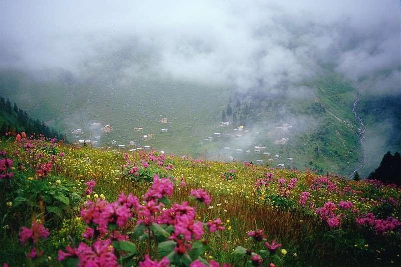 Türkiyenin cennet köşelerinden biri olan Rize Anzer Yaylasına maden arama izni için ÇED Gerekli Değil kararı verildi