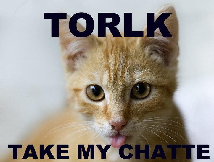 Je veux voir la grosse chatte