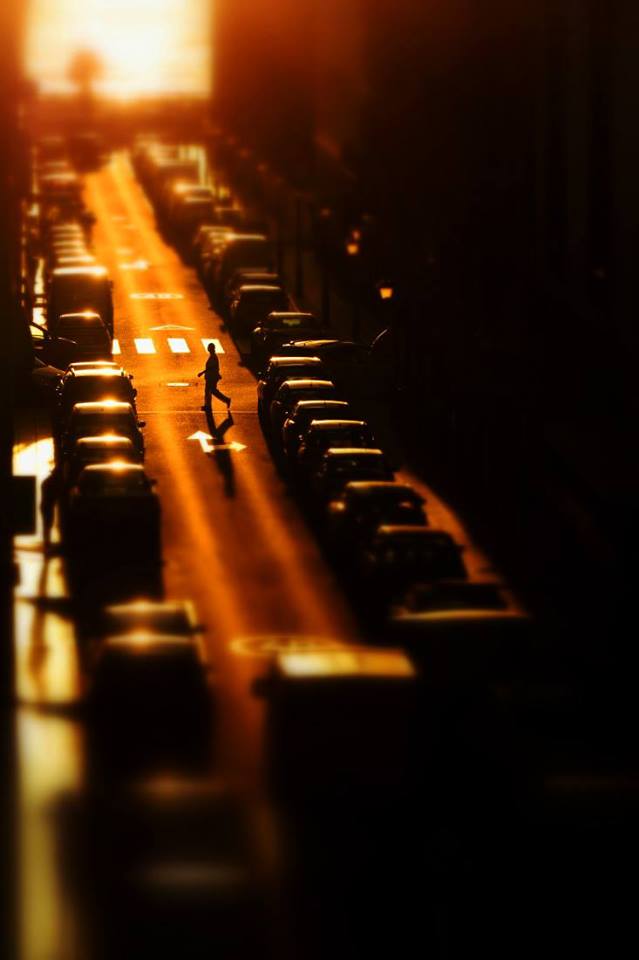 untitled by Tony Hernandez.
#svp #streetphotography