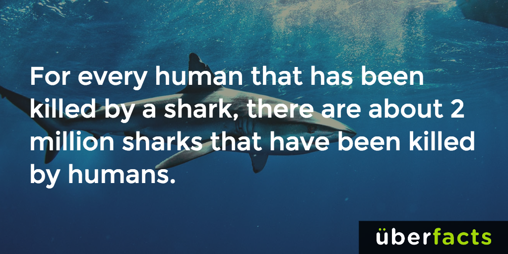 UberFacts's tweet photo. Sad :(
https://t.co/PolZ7nU2Xm https://t.co/KCDYymFpCP
