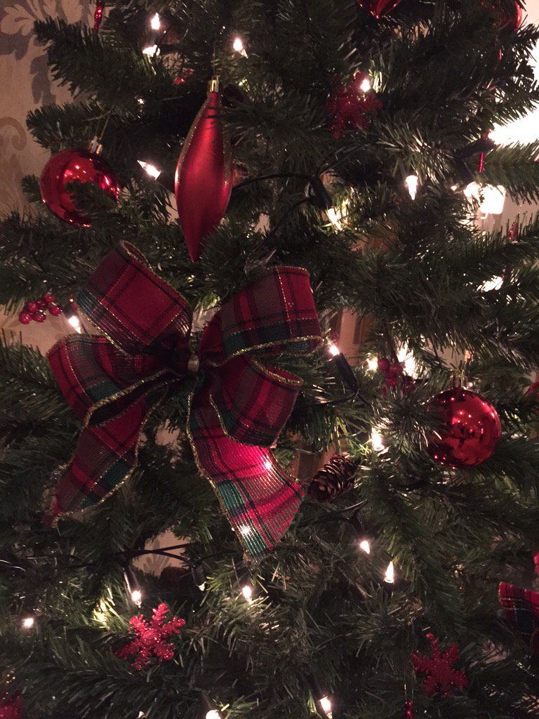 Getting into the festive spirit at The Plough, decorations are up and Turkey is on the menu. 🎅🎄🎁🎉