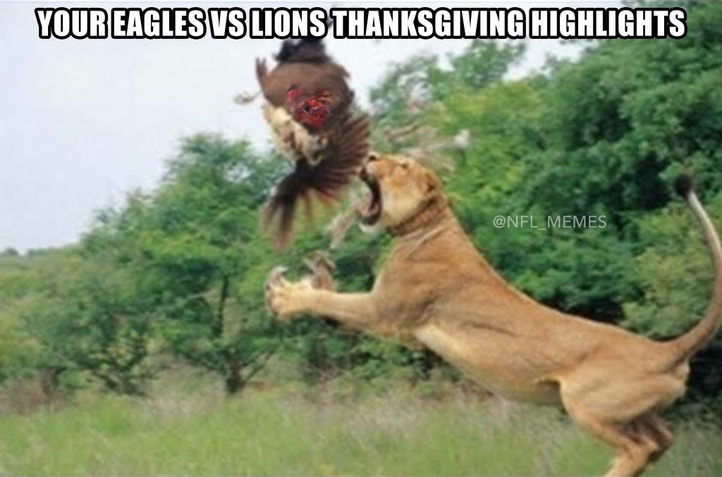 NFLMemes's tweet photo. Eagles-Lions highlights https://t.co/YZOatHdomY