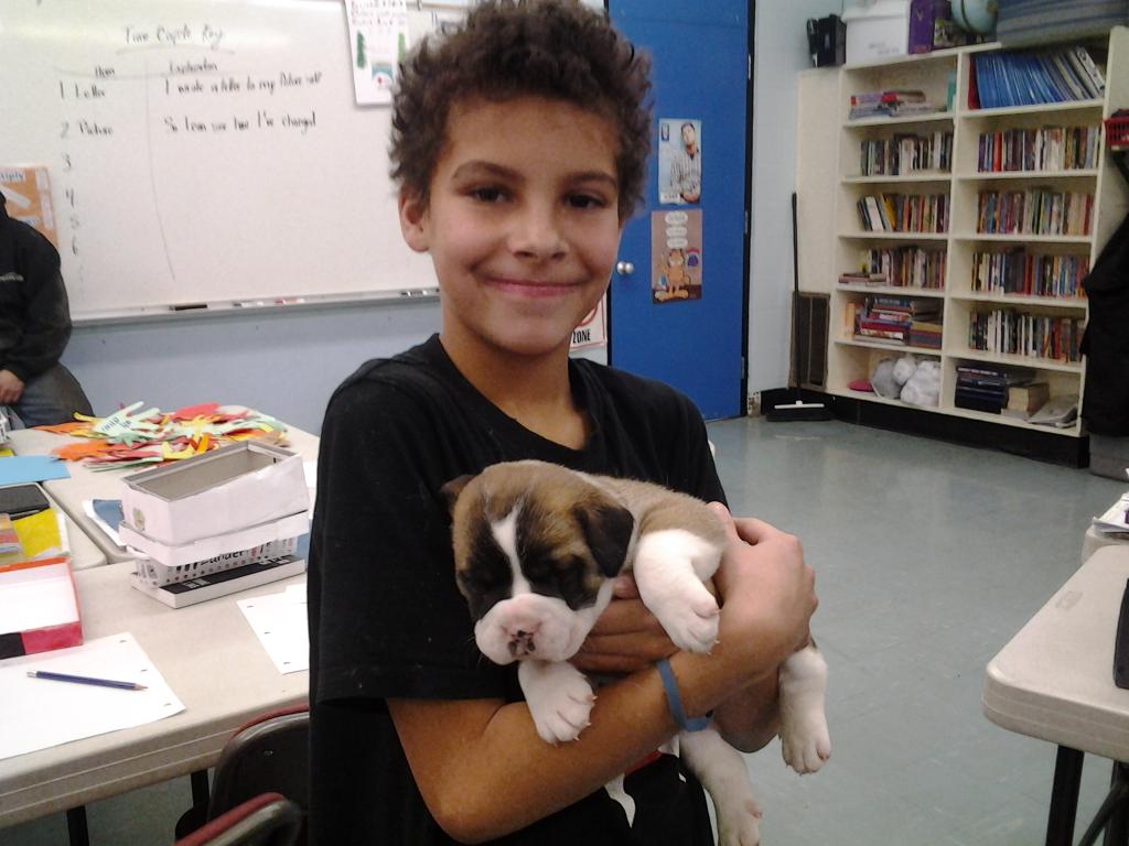 DCS5and6's tweet photo. Chillin with puppys#puppy https://t.co/SBqSJ8X3pG