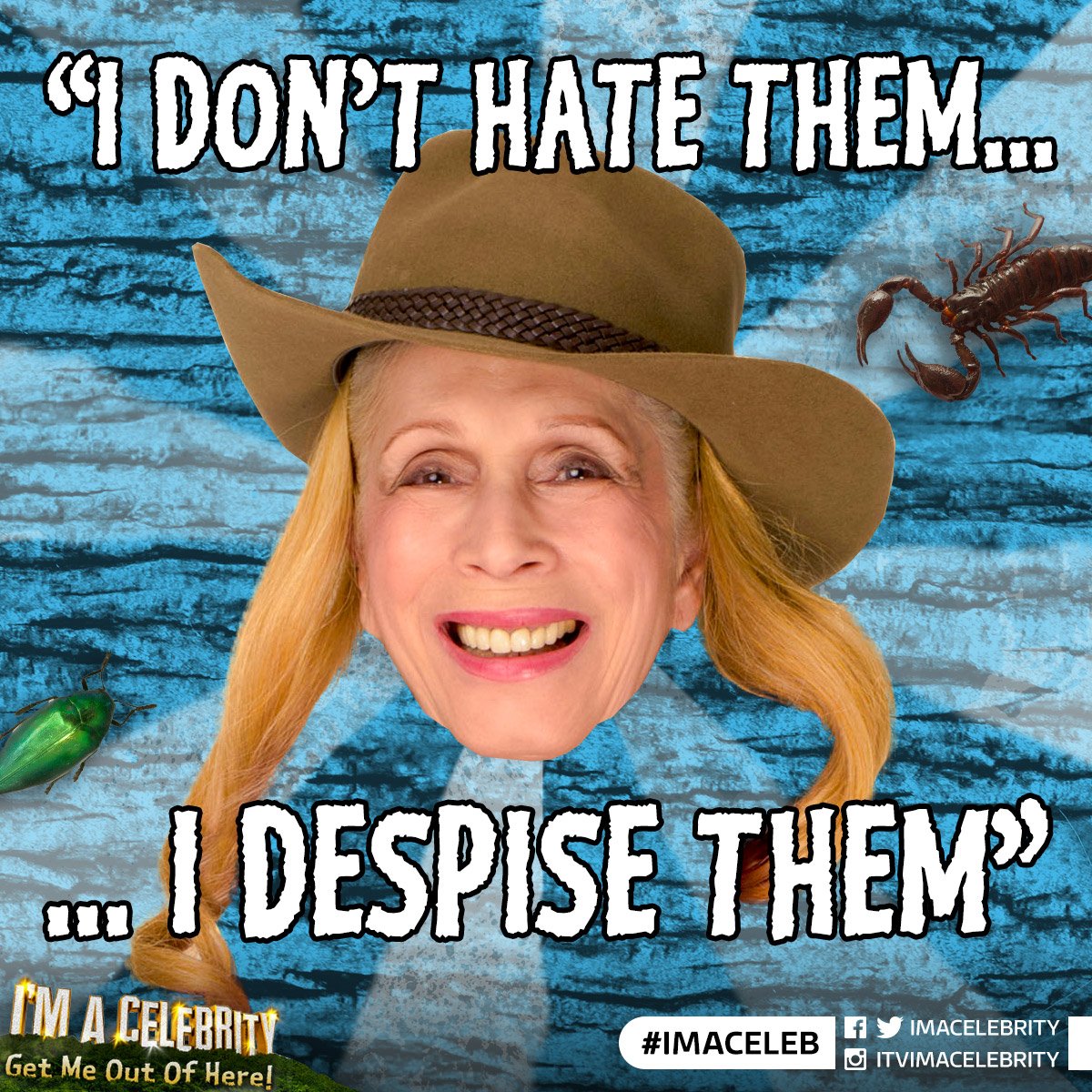 imacelebrity's tweet photo. Thank you for the clarification Lady C #ImACeleb https://t.co/5htqvF2UZs