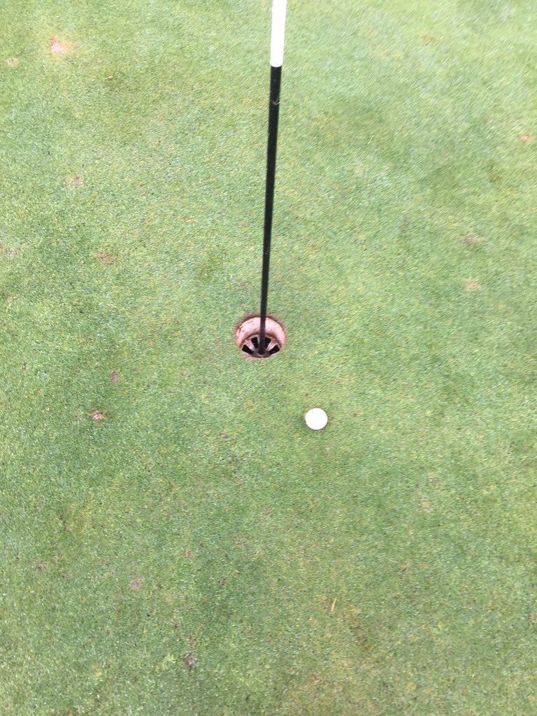 dguksolihull's tweet photo. Ever so close to a cheeky hole in one today!!! ⛳️ 
#Solihull #Golf #DGUK #fulfordheath #soclose https://t.co/79nGaakqIc