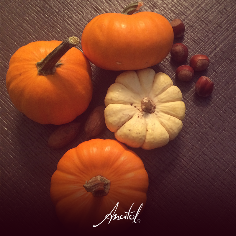 Un día para dar gracias y celebrar el reportaje en Menú de <a href="/El_Universal_Mx/">El Universal</a>. Disfrútalo en: eluni.mx/1Pdu0nG