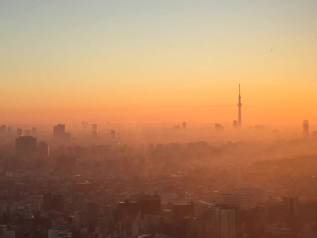 【幻想的】今朝の東京の景色ヤバすぎ【雲海】