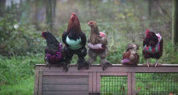 Radio ADN tweet media