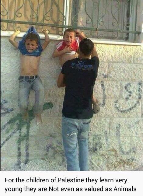 ASpetruk77's tweet photo. My heart is broken Tears dry and mouth can say anything accept Dua.My Allah save the childrens of Islam all Aamiin https://t.co/RURjF617RF