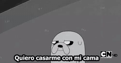 ElGatitoPop's tweet photo. Yo todos los días. https://t.co/E0LNGlRojw