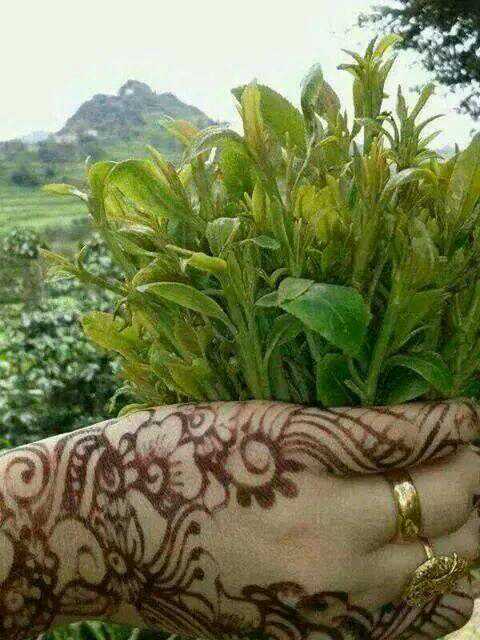 من بدةيسهرالليلة