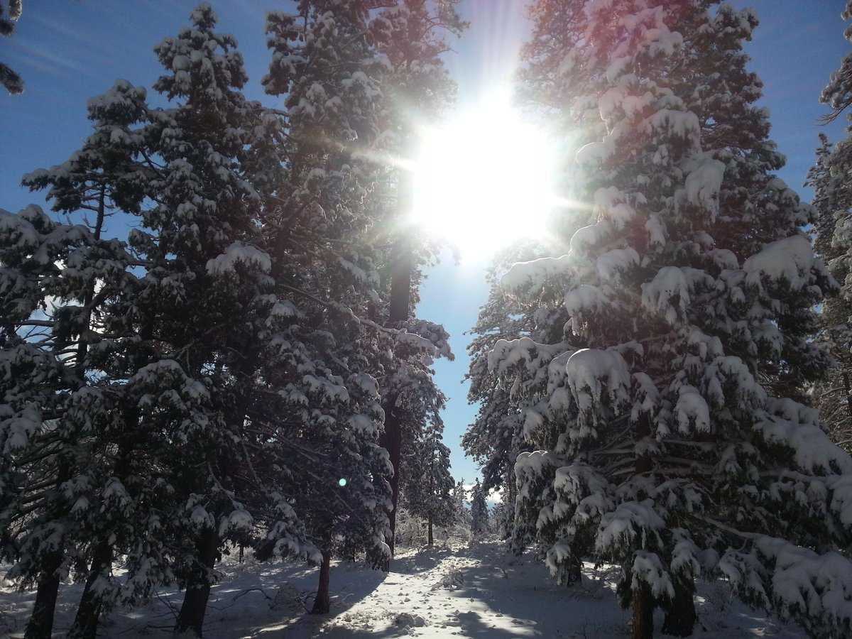 Think_AV's tweet image. Happy Thanksgiving to all our crew, venues, vendors, past and future clients! #happythanksgiving #portlandevents