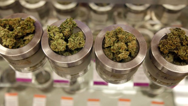 CBC News tweet media