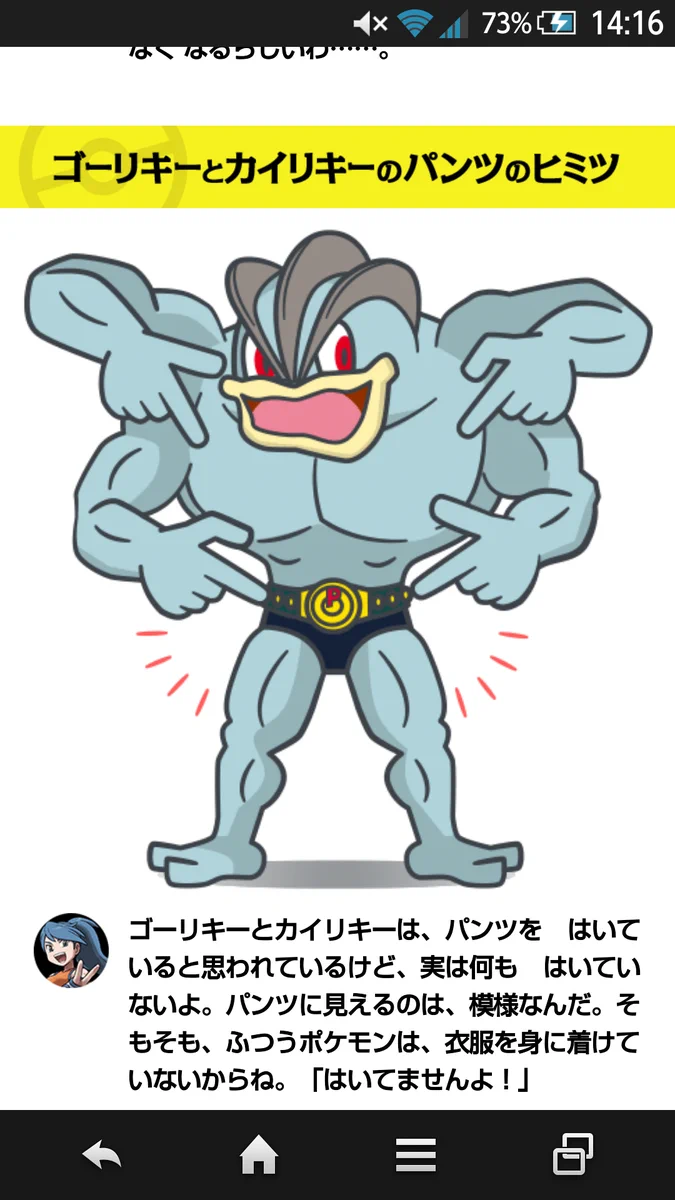 ポケモンの衣服に見えるものは模様らしい