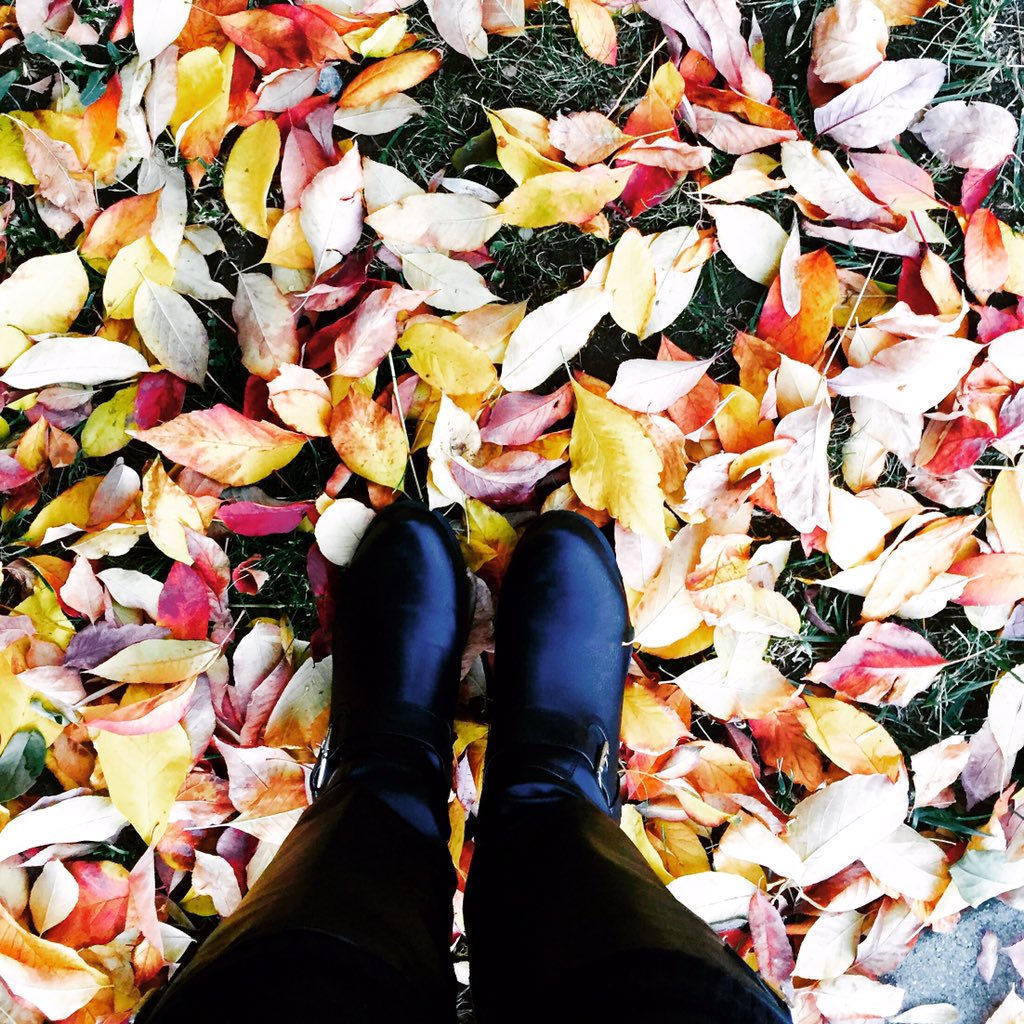 viajecomare's tweet photo. Happy Thanksgiving! #thanksgivingfeelings #mydayinla https://t.co/Fein3Er2TM