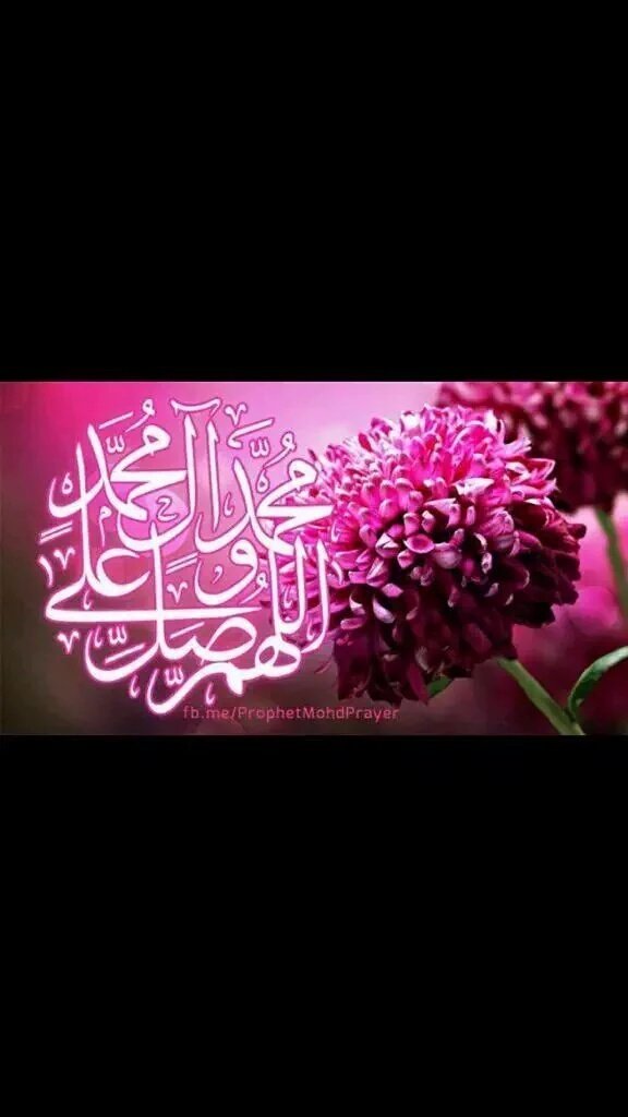 <a href="/haedr242242/">حيــ العراقي ــدر</a> @D2_313