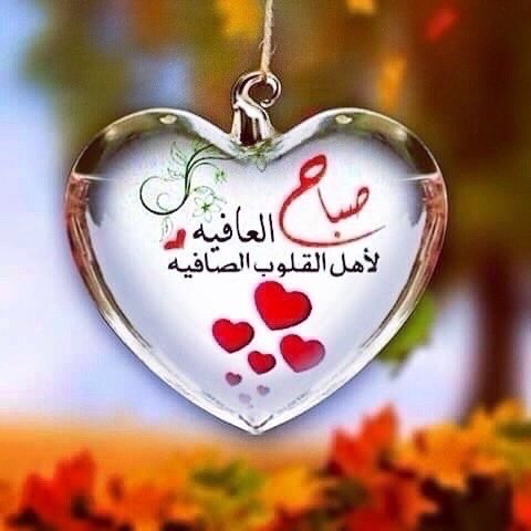 ro5569's tweet photo. @khamis7777 https://t.co/t45HsZf6zu
