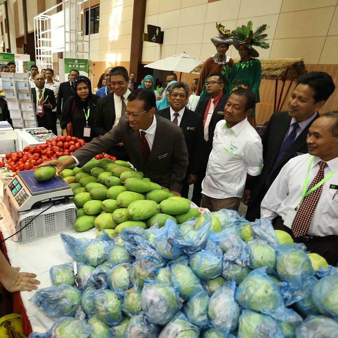 MyCebuCare's tweet photo. Buah #Fama50 pun ada jom pi #miate2015 27-29Nov @maeps_info @MARDItweet @sharifharon @umiabubakar https://t.co/EQZiWlKOp5
