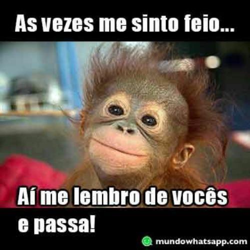 ZueirasAPP's tweet photo. Bombou hoje no App. Baixe Zueiras Sem Limites e não fique de fora desta zueira. https://t.co/2hv4y0VAl4 https://t.co/przL27gKYC