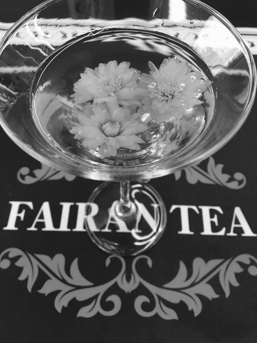 FairanTea_CH's tweet photo. 菊花与普洱茶搭配冲泡，能够让人口感清爽。菊花清热解毒，普洱茶性温和，两者同时饮用，性能调和，功效倍增。具有散风热、平肝明目的作用，对治疗风热感冒、头昏目眩，目赤肿痛，心胸烦热，疔疮，肿毒及高血压有较好的疗效 #菊花普洱 #菊花茶 https://t.co/LW4Br5DTR5