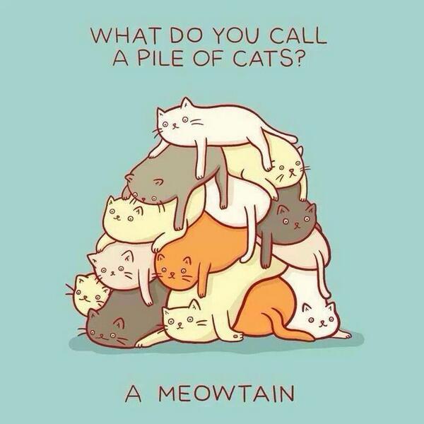 KittySource's tweet photo. I ashamed that I laughed so hard at this https://t.co/PsasL7YuF8