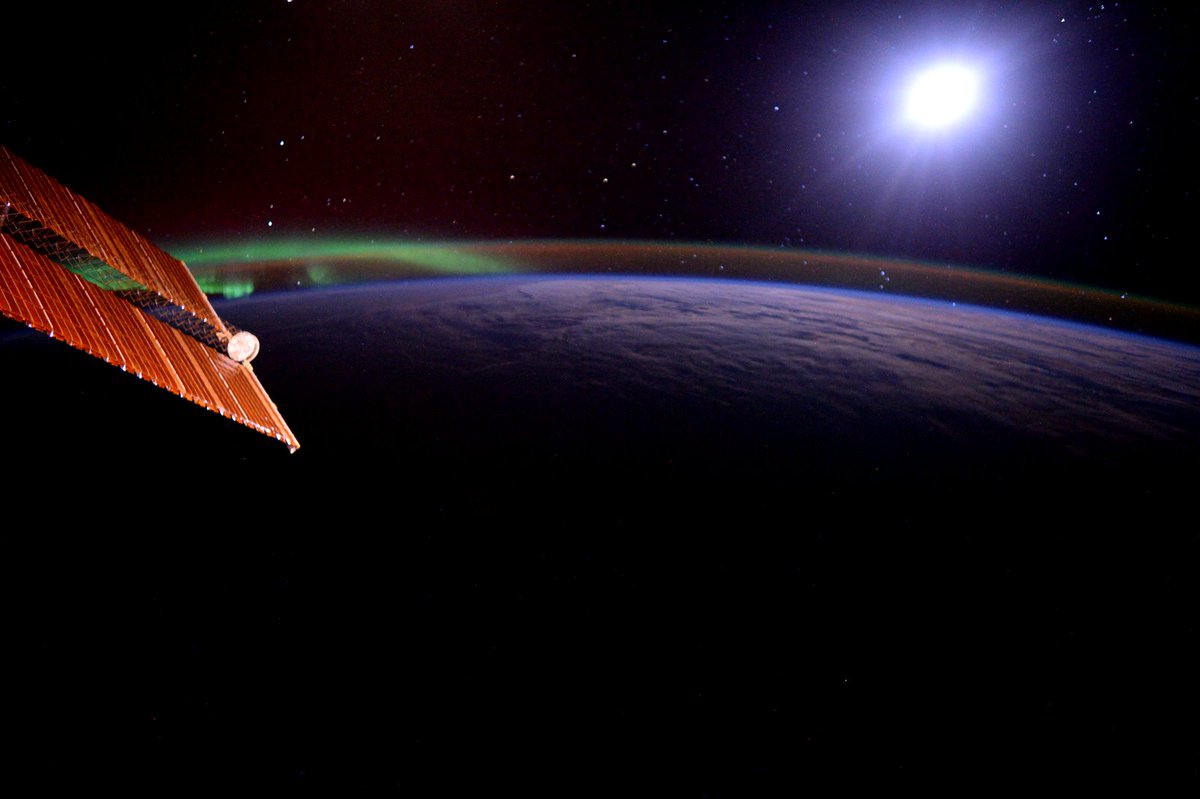 StationCDRKelly's tweet photo. Day 244. #HappyThanksgiving #ThankYou for following me on this journey. #GoodNight from @space_station! #YearInSpace https://t.co/LTAINn2KHu