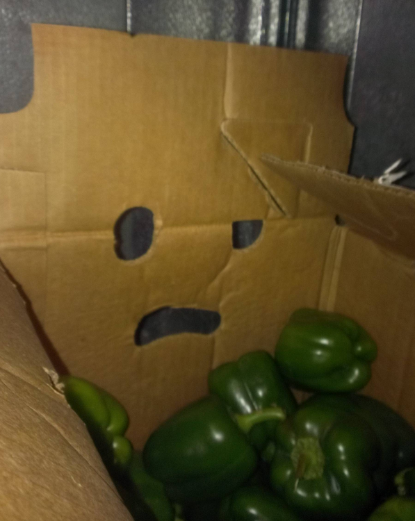 NightHawkFoods's tweet photo. Not sure about carrying around these green peppers. Not sure at all.
#ObjectFaces #Smiley https://t.co/riGKJJuchQ