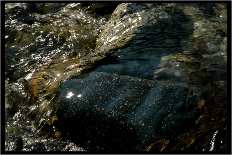 cliffcrego's tweet photo. #photog EAST EAGLE #FLOWFORMS https://t.co/6Rpqdmj11J #poem #mp3 OMPHALOS https://t.co/0C01IXt3TX