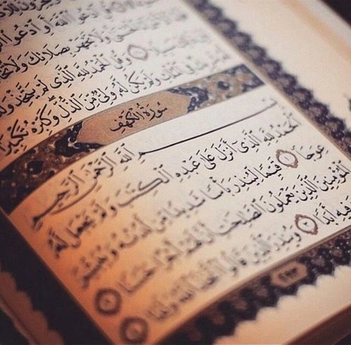 farsyh's tweet photo. عطر الله جمعتكم ❤

 برياحين الجنه 🍃🌻

وظللگم بآغصان بساتينها 🍃🍂

وسقاگم من زلال كوثرها..🍀

آمين 🌹
#قروب_الكون_للدعم https://t.co/sI5ERhcjRI