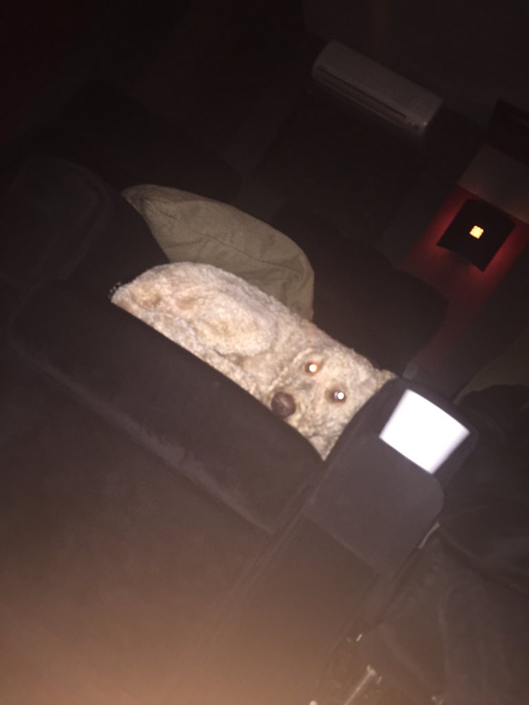 officialotis's tweet photo. Watching Jurassic World with the squad https://t.co/i0v6ZoVlMr