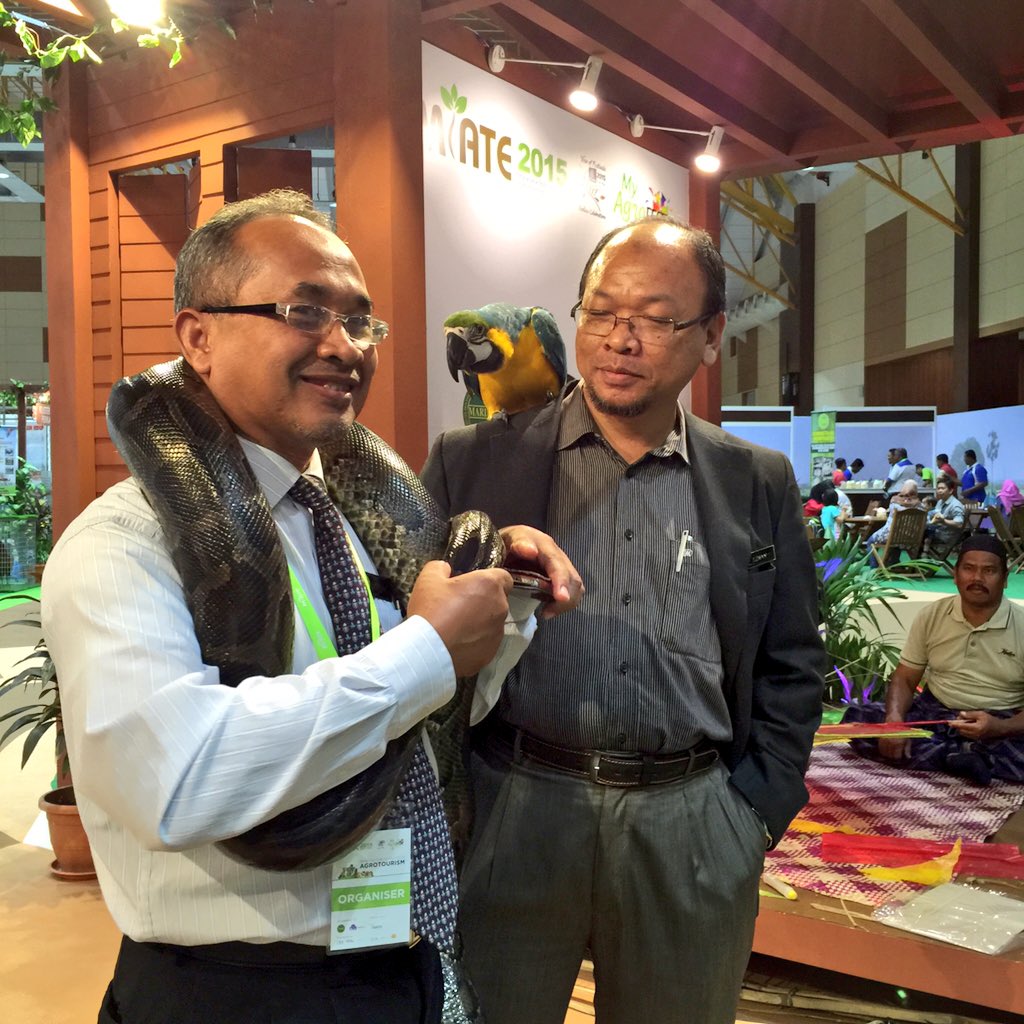 mardimalaysia's tweet photo. Ada mini Zoo di #MIATE2015. @abghanimohd dan @azmanmsaad main dengan ular dan burung kakak tua. https://t.co/1lDGT2Ss0p