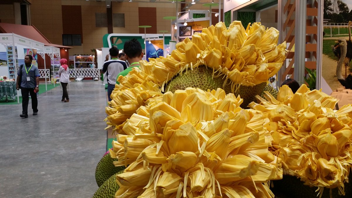 MyCebuCare's tweet photo. besar punya ulas nangka madu #Fama50 dtg rasa ada kat #MIATE2015 27-29 Nov @MARDItweet @moa_gov @maeps_info https://t.co/1hLrYNDDTM