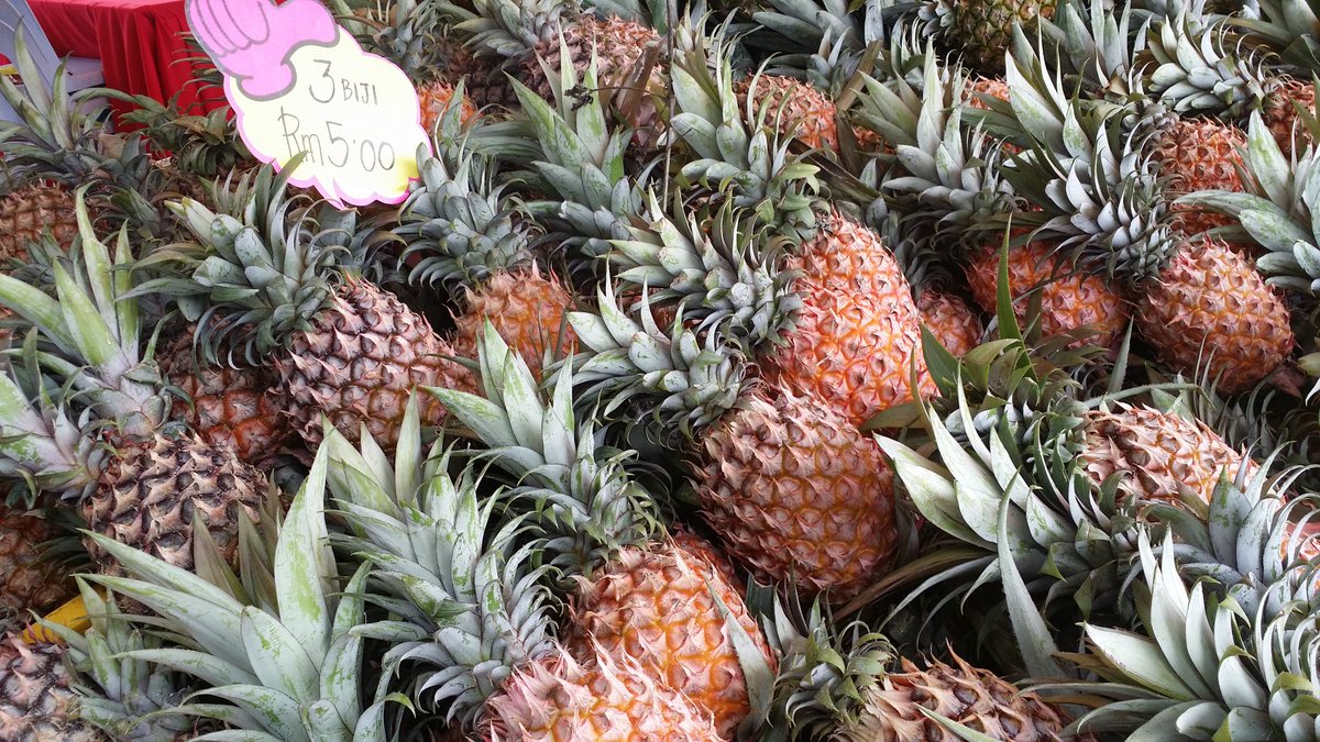 MyCebuCare's tweet photo. Nanas Josapine manis giler berlori tunggu anda murah 3 biji RM5 #MIATE2015 27-29Nov dan #Fama50 4-6Dis @MARDItweet https://t.co/Y9Gafk7PJm