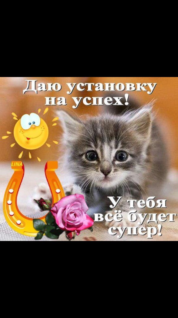 Доброе утро! Всё будет хорошо!