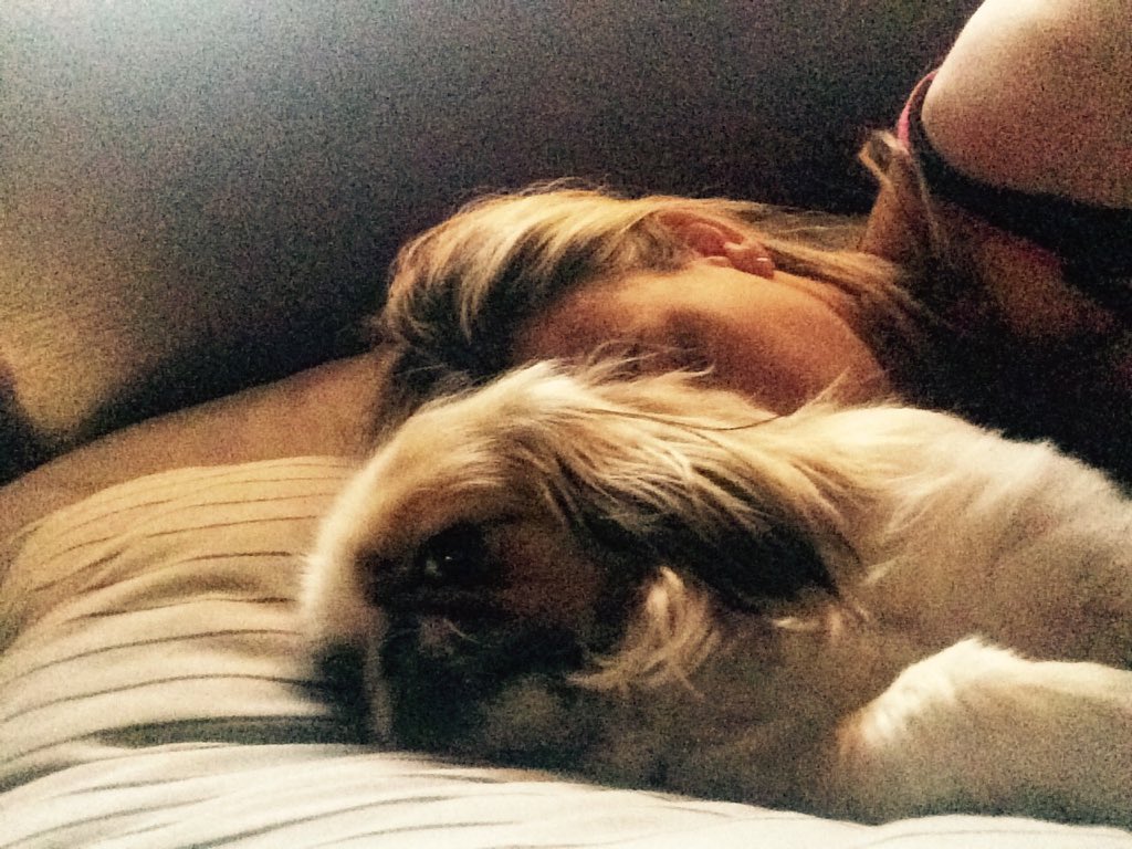 carenvdmerwe's tweet photo. My cuddle buddy #puffman https://t.co/fPbIgw5eFk