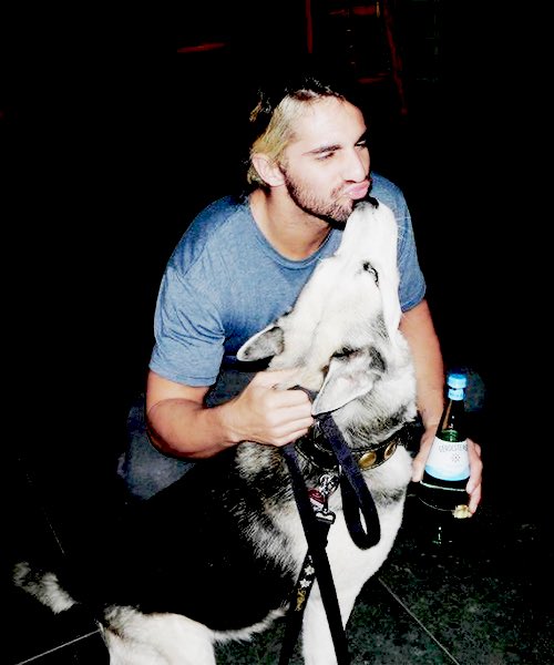 SethRollinsWeb's tweet photo. Here's a cool snapshot of the day for #ThrowbackThursday #SethRollins #ShieldDays https://t.co/pOC5nvmQa3