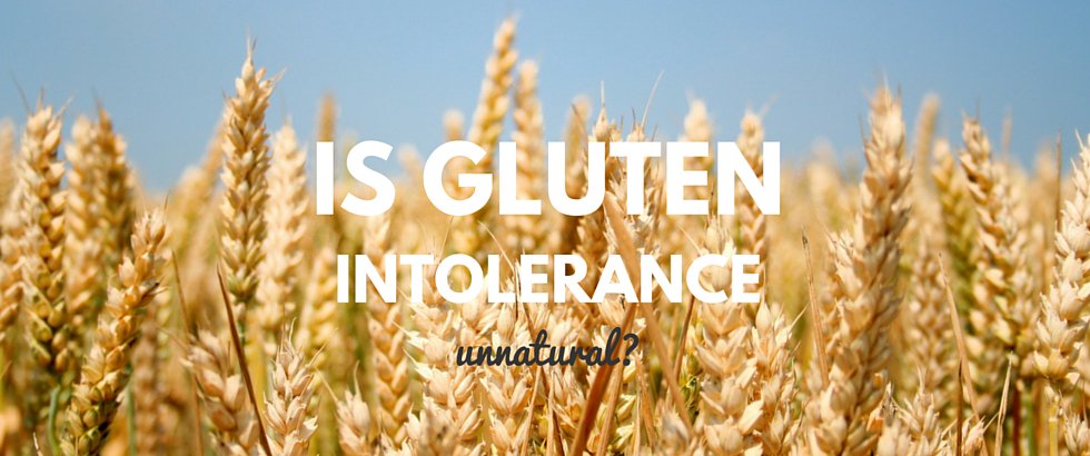 eatablefriendly's tweet photo. Is Gluten Intolerance Unnatural? https://t.co/TGdQqPlBHd #gluten #glutenfree #celiac #ImThankfulFor #food #health https://t.co/vI9zFVMpay