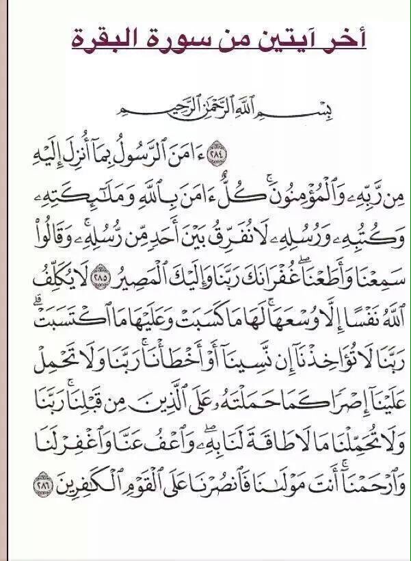 فاقد غالي (@b1b1v) on Twitter photo 