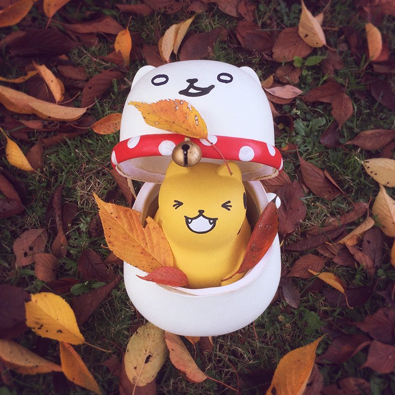 はこいりねこ Hakoirineko T Twitter