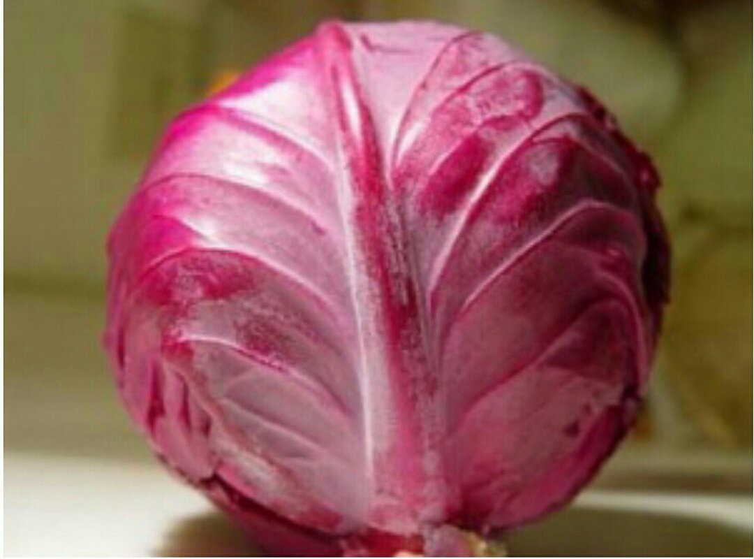 Diet_234's tweet image. diet234.com/stomach-ulcer-…

#askdiet234 #diet234.com