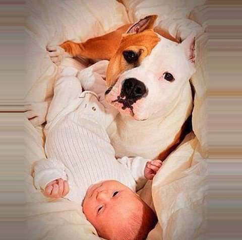Krissybabe99's tweet photo. Some things are worth the heart melt. 💜 https://t.co/JKAtHZDboS
