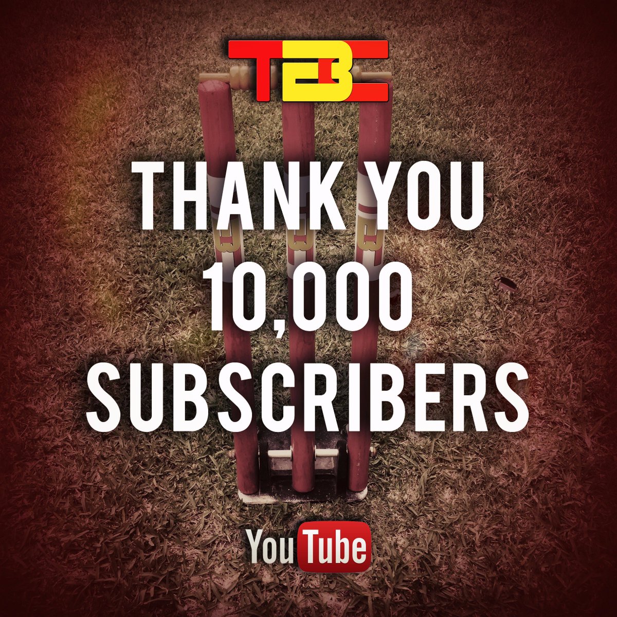 TheBackyardCricketer tweet media