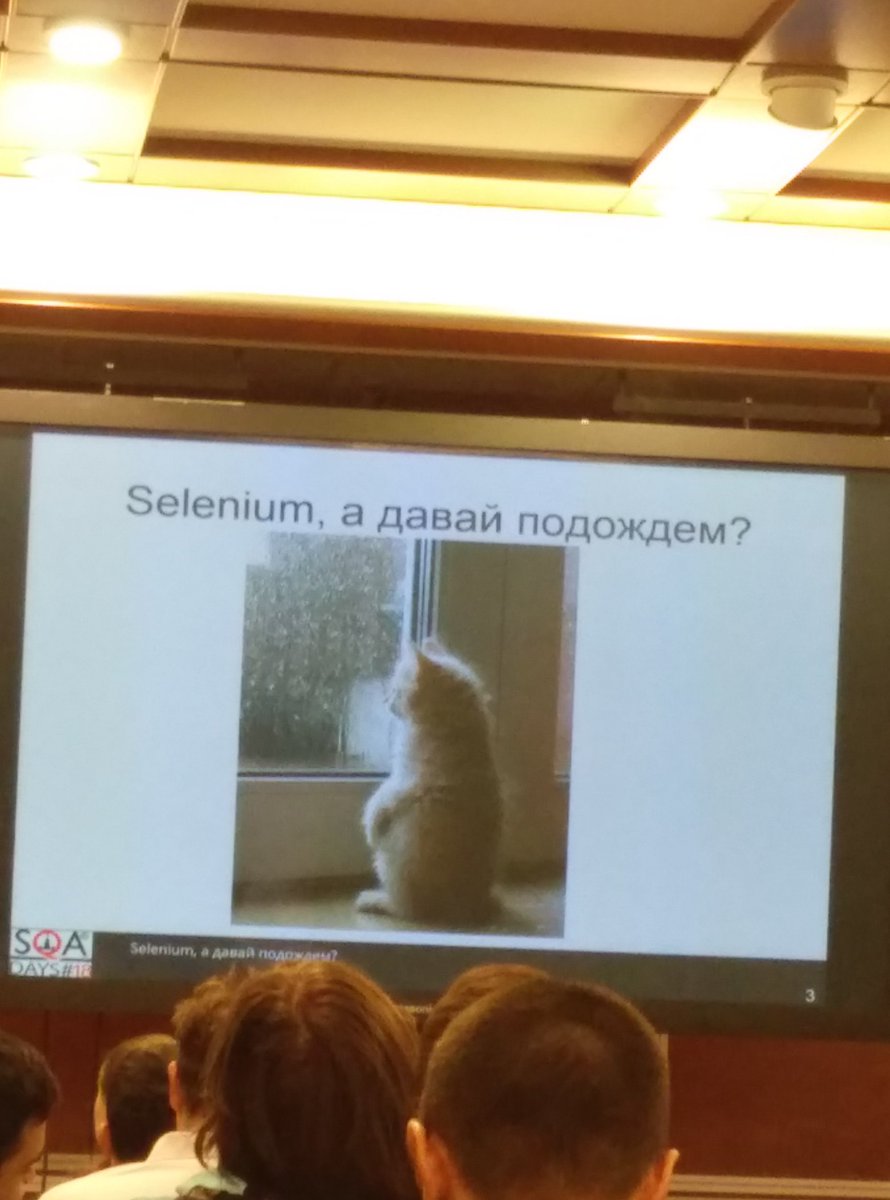 LuarvikU's tweet photo. для успеха доклада обязательно нужно включить в него котика #sqadays https://t.co/FnWiElj2D7
