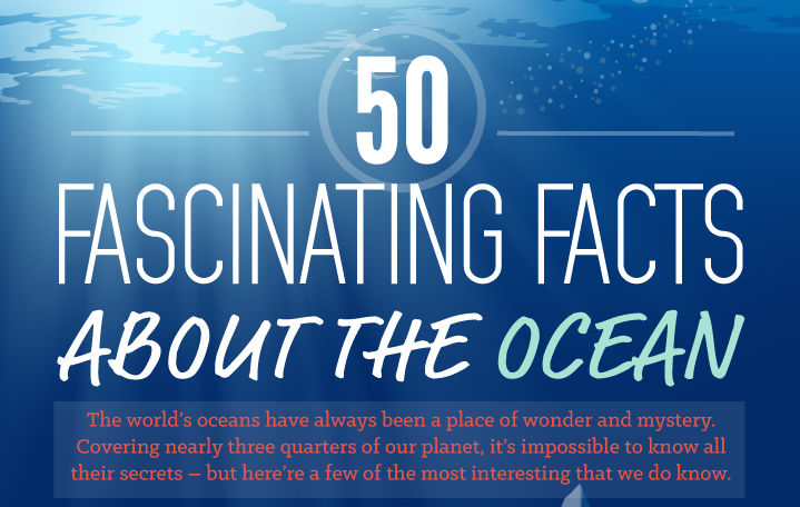 50 Fascinating #Facts about the #Ocean - divecompare.com/blog/50-fascin… #infographic via @divein_news