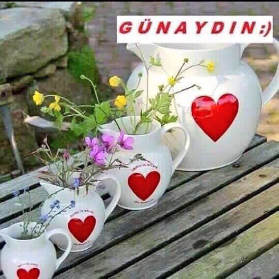 PResourse's tweet photo. Gunaydin👋☺️hayırli bir cuma olsun hepimize ♥️♥️♥️@KadininnDibi @SevimIiGrup @scary_TT 💮 https://t.co/yU6vJupd2L