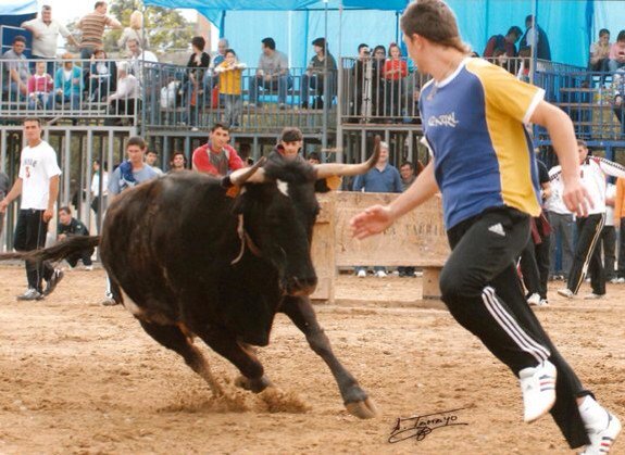 Desdelabarrera_'s tweet photo. PRENSA | "Adiós a Estrellita" #Machancoses https://t.co/CVD6s9DKYv vía @lasprovincias #BousAlCarrer https://t.co/IJUARj5UXp