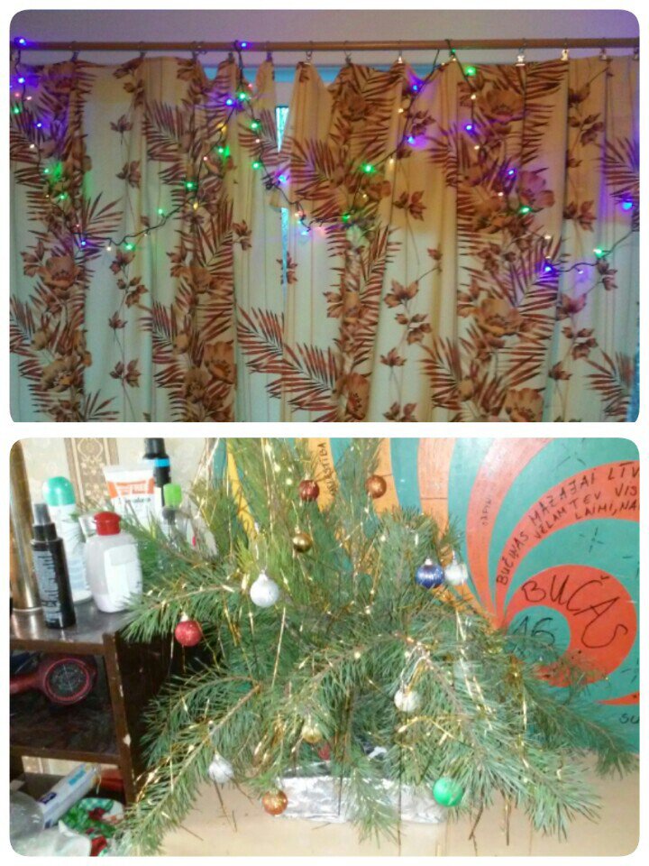 Liivuc's tweet photo. Pie mums jau Ziemīši  😍🎄🎅🎉 (@ Līvas hatņiks <3 in Jēkabpils) https://t.co/be5JgZd7gg https://t.co/5RZB4citWT