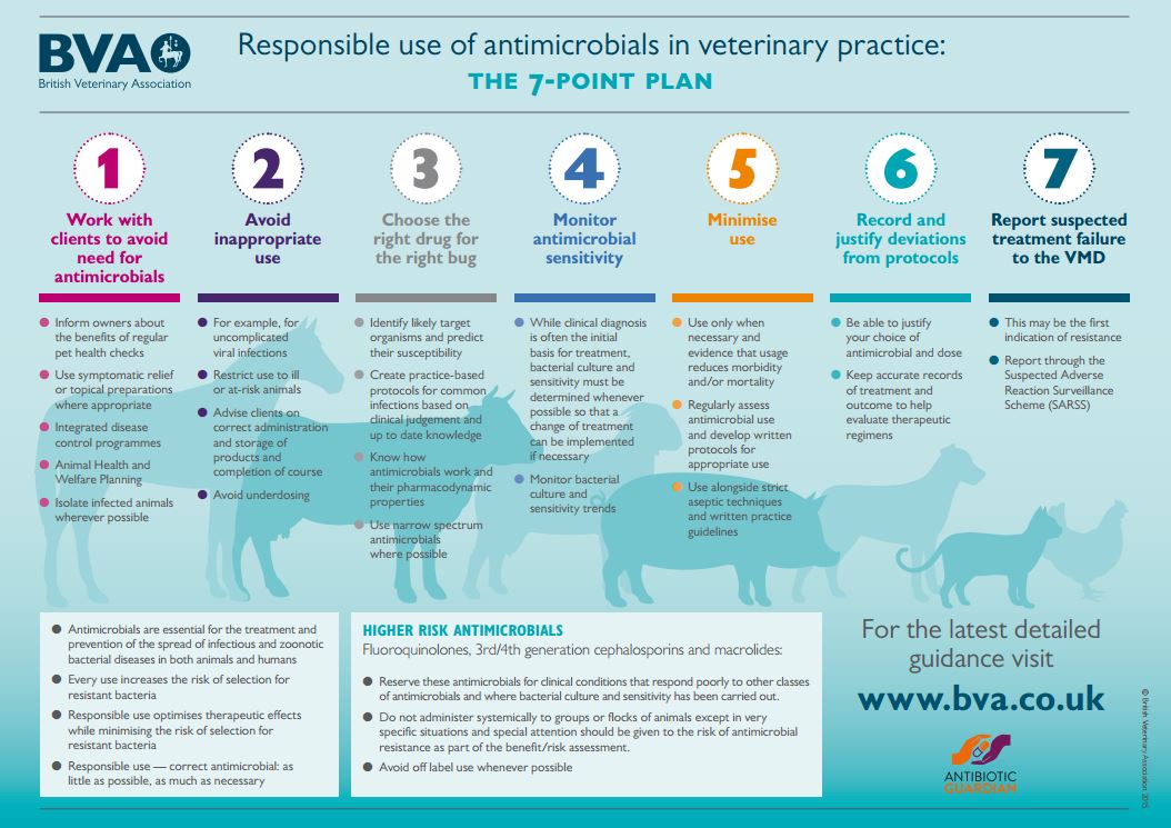 BritishVets's tweet photo. Our responsible #antibiotic use posters are perfect for practice walls everywhere https://t.co/9giz4spopf https://t.co/8bg8kwlRuw